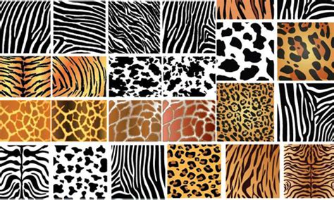 100 Diverse Animal Skin Patterns For An Added Twist