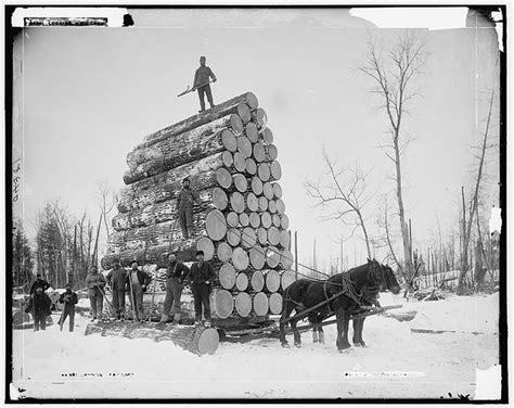 Century Old Photos Show The Epic Scale Of Michigans Lumber Era