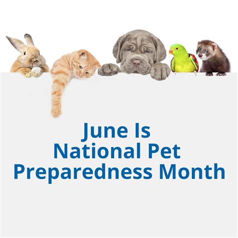 June Is National Pet Preparedness Month