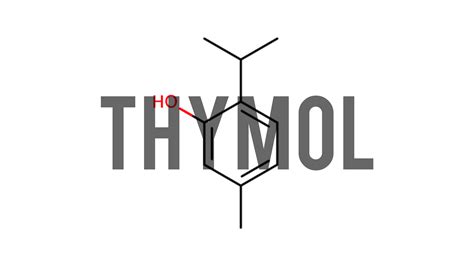Thymol Cas 89 83 8 — Synthetic Ingredient For Perfumery Overview