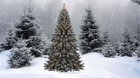 Snow Falling On The Christmas Tree Wallpaper Holiday Wallpapers 50819