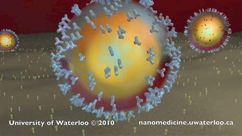 Cancer Therapy Gold Nanoparticles In Cancer Therapy