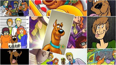 100 scooby doo wallpaper and images 4k hd