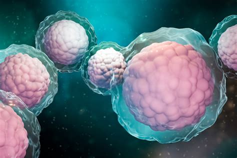 Cell Therapy And A New Approach To Allogeneic Hematopoietic Stem Cell
