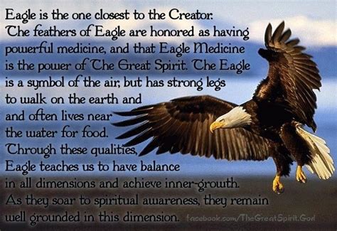 Meaning Of Eagle Eagle Native American Wisdom Spirit Animal Meaning