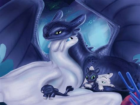 Toothless And Light Fury By SvPolarFox On DeviantArt How Train Your