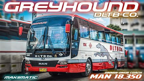 Greyhound Express Service Dltb Co 6m Man 18350 Dm18 Bus