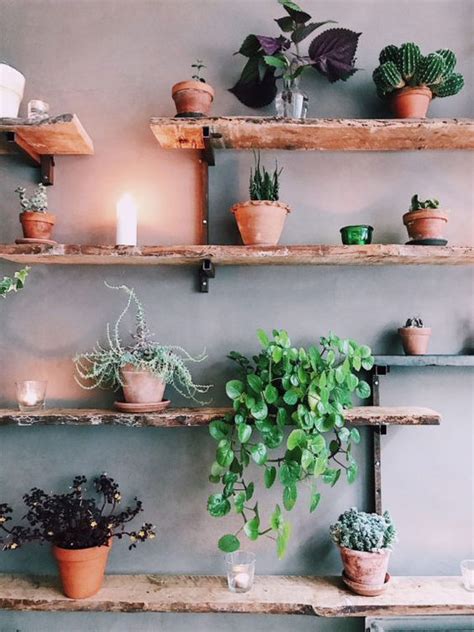 Plant Shelf Ideas 35 Creative Ways To Display Plants House Plants