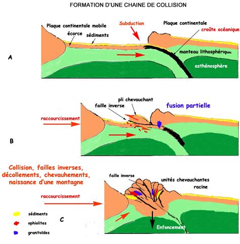 La Collision Continentale Est Un Ph Nom Ne Qcm N