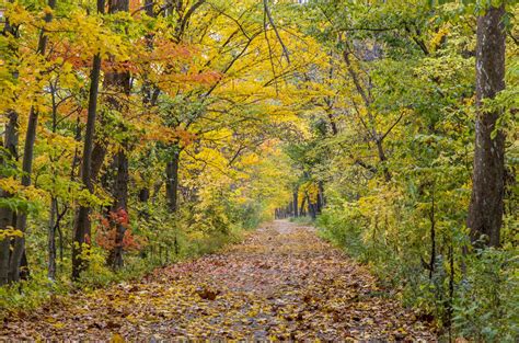 This Leaf Peeping Season Escape The Crowds To Discover Vibrant Fall