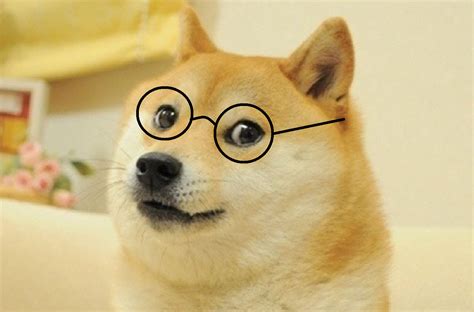 Doge Glasses Blank Template Imgflip