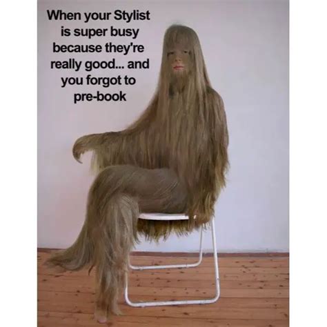 Top 173 Funny Memes On Hair Styles Polarrunningexpeditions