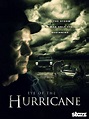 Reparto de Eye of the Hurricane (película 2012). Dirigida por Jesse ...