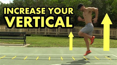 Increase Your Vertical Jump And Quickness Agility Ladder Drills For