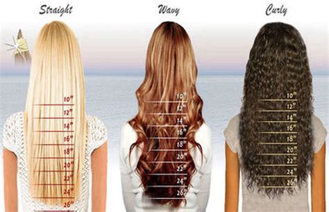 Hair Lengths Hair Length Chart Hair Lengths Hair Styles