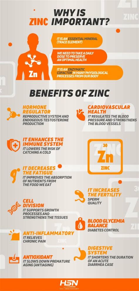 Zinc Discover The Benefits For Your Body【2024