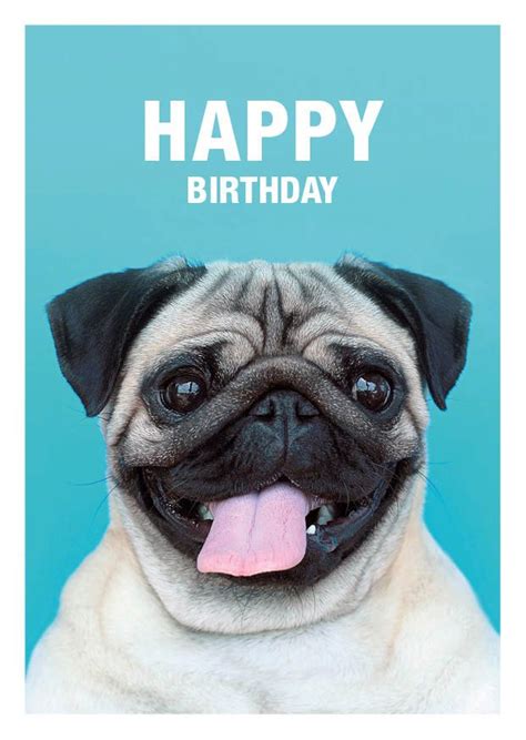 Happy Birthday Pug Greeting Card Available At Etsycomshop