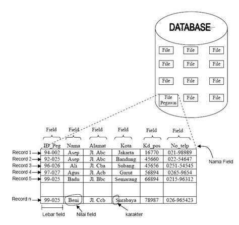 Struktur Database Mysql Pengenalan Dan Manajemen Tabe