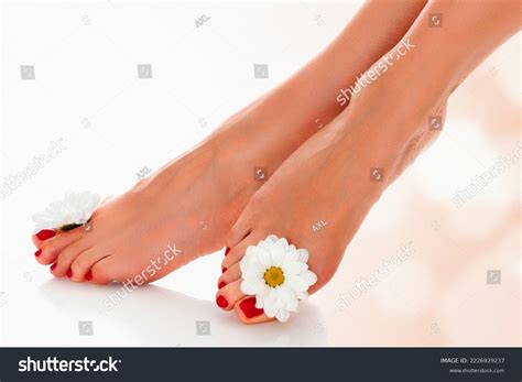 Beautiful Female Feet Daisy Flower On Stock Photo 2226929237 Shutterstock