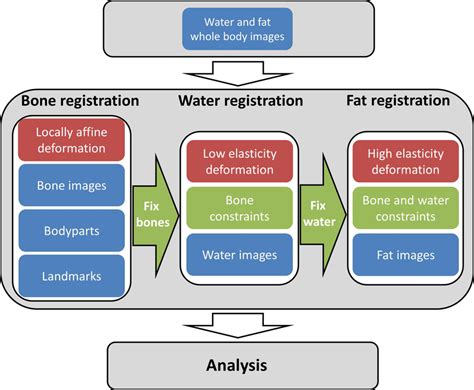 Flowchart Of Key Steps In The Registration Process Blue Image Data