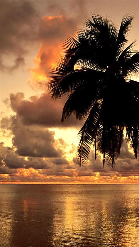 Love Beach Sunset Wallpapers Top Free Love Beach Sunset Backgrounds