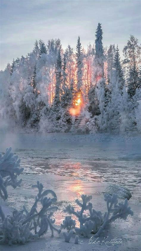 Winter Sunrise In Finland By Asko Kuittinen Winter