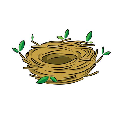 Baby Birds In Nest Illustrations Royalty Free Vector Graphics And Clip