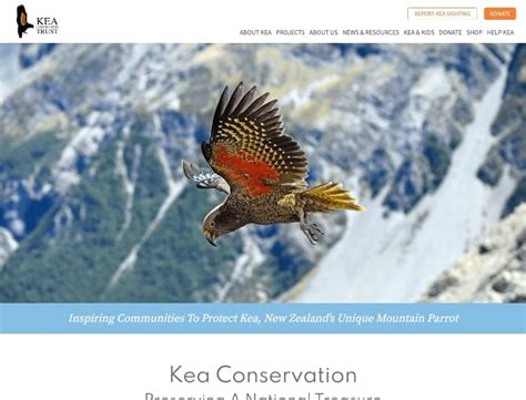 Kea Conservation Trust Avoca Web Design