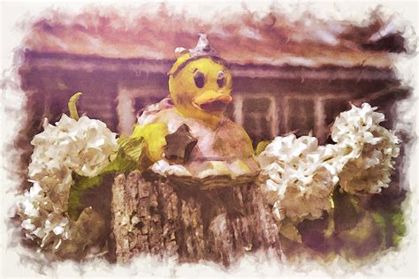 Rubber Duckie Youre The One Photograph By Jim Love Fine Art America