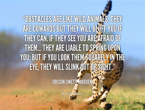 Wild Animal Quotes Quotesgram