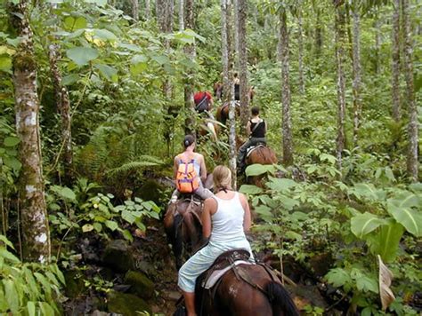 Horseback Riding Nauyaca Falls Dominical