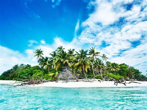 9 Affordable Islands For Sale That Cost Less Than A House Jetsetter