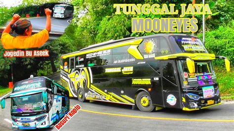 Salah Satu Bus Paling Populer Artis Bus Basuri Tunggal Jaya Mooneyes
