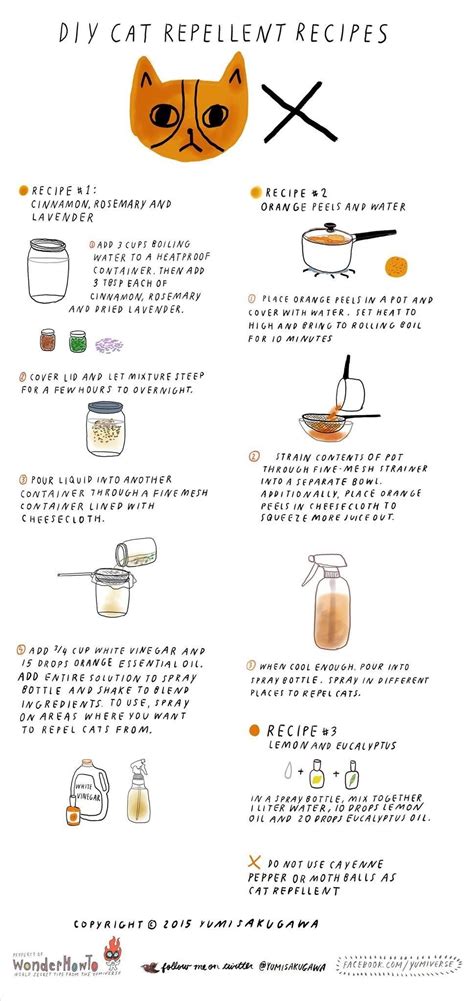 You may want to try these homemade cat repellents. DIY Cat Repellent Spray: 3 All-Natural Recipes That Are ...