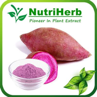 We are continually engaged in developing new innovative solutions for our customers and their customers. Sweet Potato Powder | Potato Starch Powder | Potato Flour