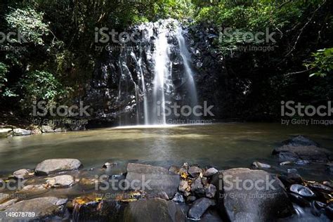 Elinjaa Falls Stock Photo Download Image Now Atherton Tableland