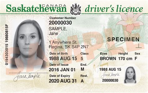 Buy Canadian Driver License