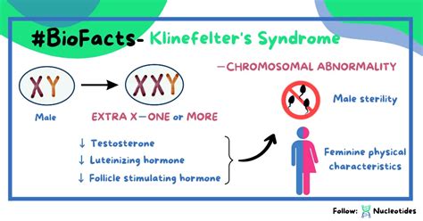 Klinefelter Syndrome Cause Symptoms Diagnosis And Treatment Nucleotides