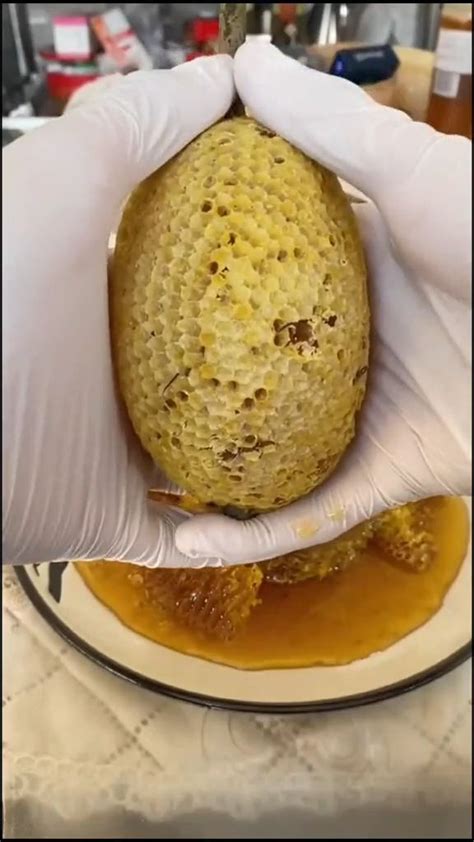 Satisfying Honeycomb Crushing An Immersive Guide By Pure Satisfaction