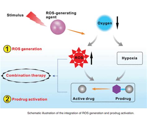 Integration Of Reactive Oxygen Species Generation And Prodrug