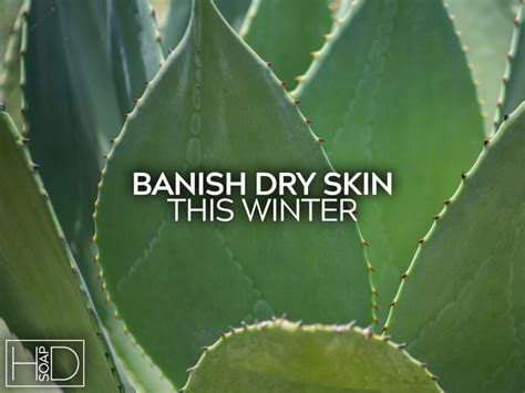 Banish Dry Skin This Winter Hd Soap By Hilltop Designs