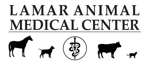 Vets In Lamar Co
