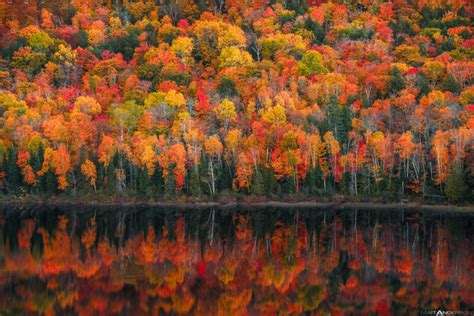 Matt Anderson Photography All Photos Fall Colors At Lake Of The