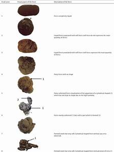 Validation Of A Fecal Scoring Scale In Puppies During The Weaning