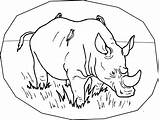 Coloring Pages Rhino Rhinoceros Printable Kids Endangered Animals Print Color Species Animal Preschool Fun Comments Rainforest Getcolorings Stuff Popular Bestcoloringpagesforkids sketch template