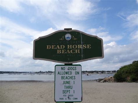 Dead Horse Beach Ive Read A Few Explanations For How This Flickr