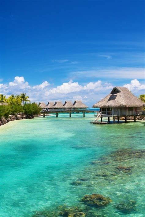 Bora Bora Island One Of The Most Exotic And Romantic Islands Top