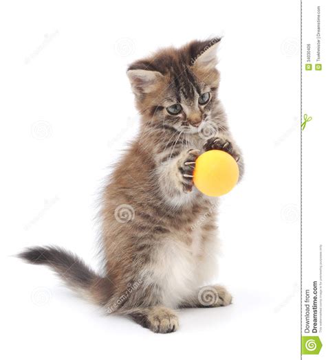 Kitten Playing With Ball Royalty Free Stock Image Image 34030406