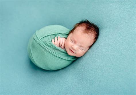 Cute Newborn Wrapped In Blanket Stock Photo Image Of Baby Person
