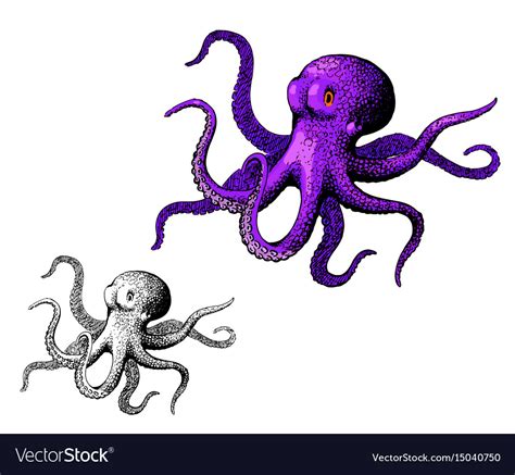 Octopus Ink Hand Drawn Vintage Royalty Free Vector Image